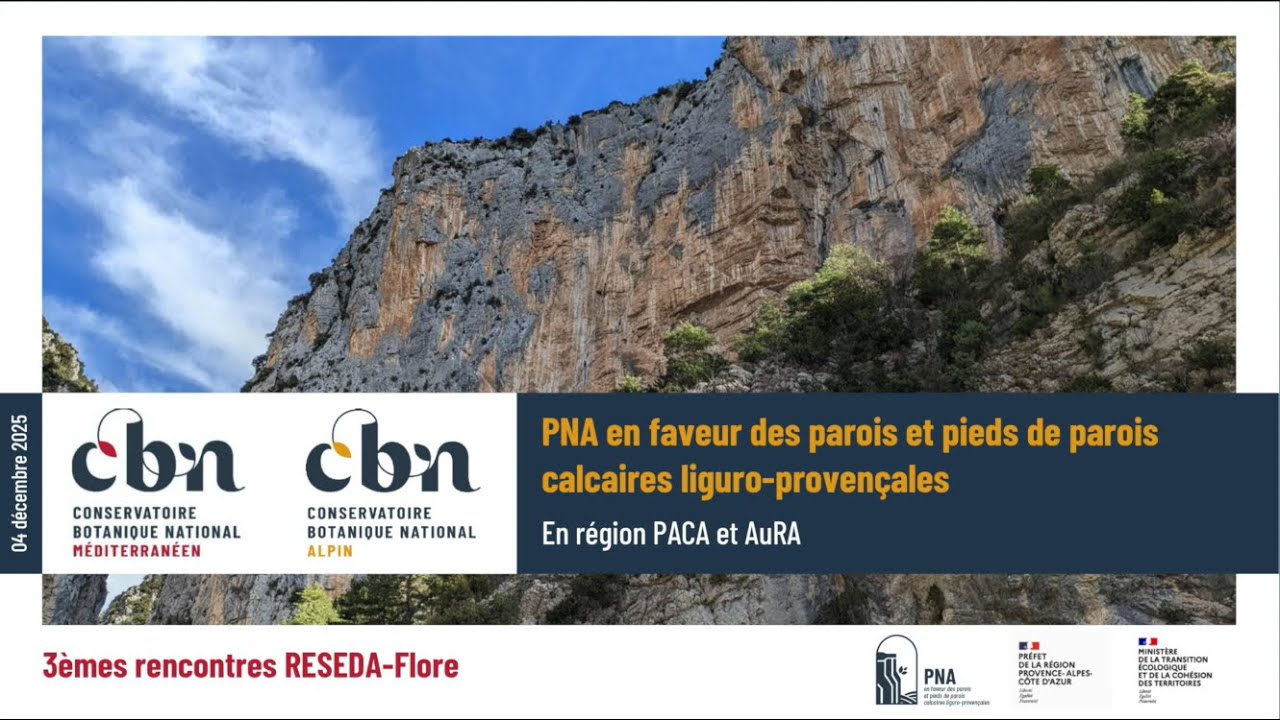 Conference : PNA en faveur des parois et pieds de parois calcaires liguro-provençales