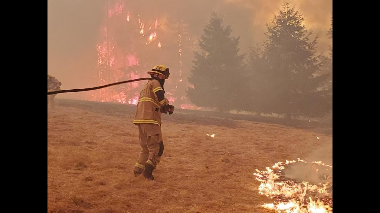 Chehalem Mountain/Bald Peak Wildfire Recognition 2021