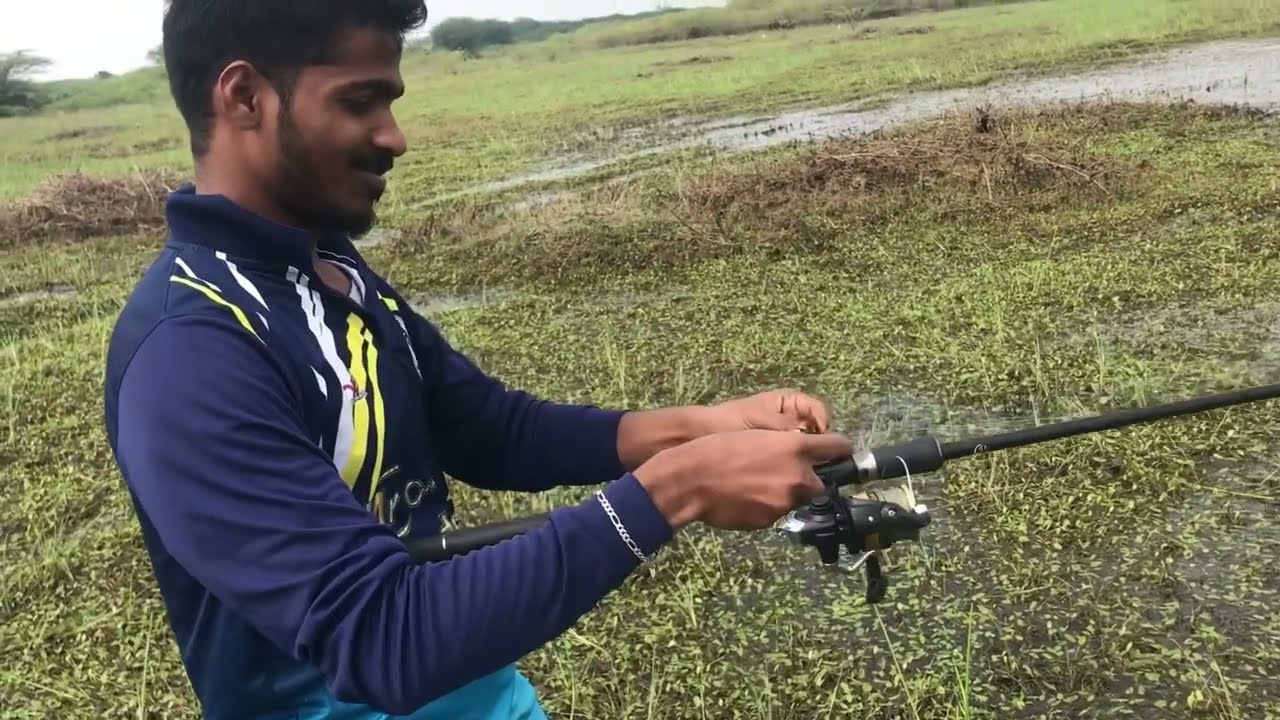 Snakehead fishing beginner practice video | 🎣 hook set | @Tamil Snakehead Angler