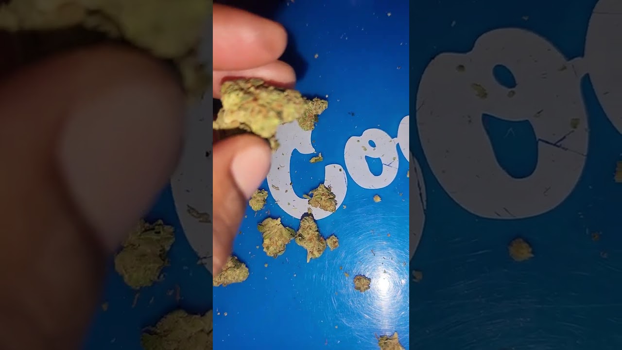 Visual Strain Review: Pineapple 🍍  OG by Wonderbrett 🔥🔥🔥
