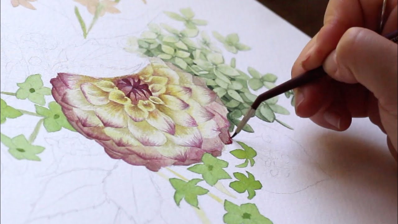 Painting A Dahlia In Watercolor | Impatient Gardener Collaboration