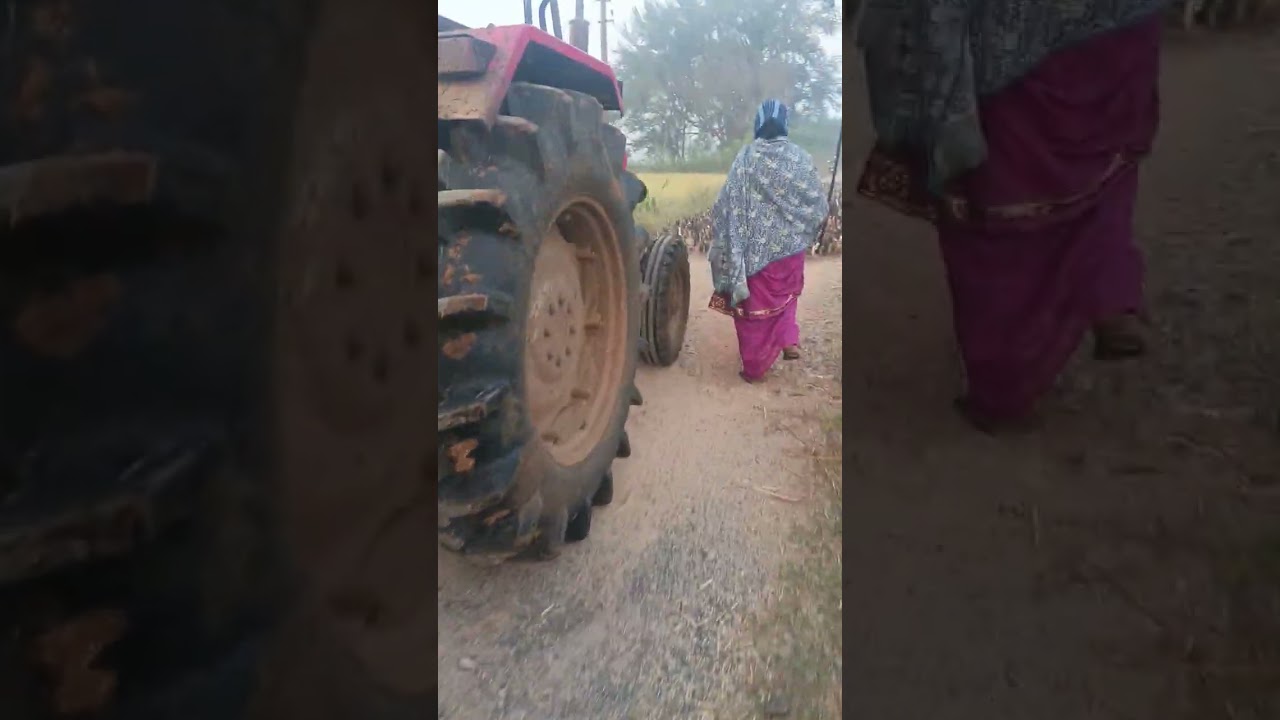 দেখো বন্ধু কত হাস তামিল নাড়ু তে