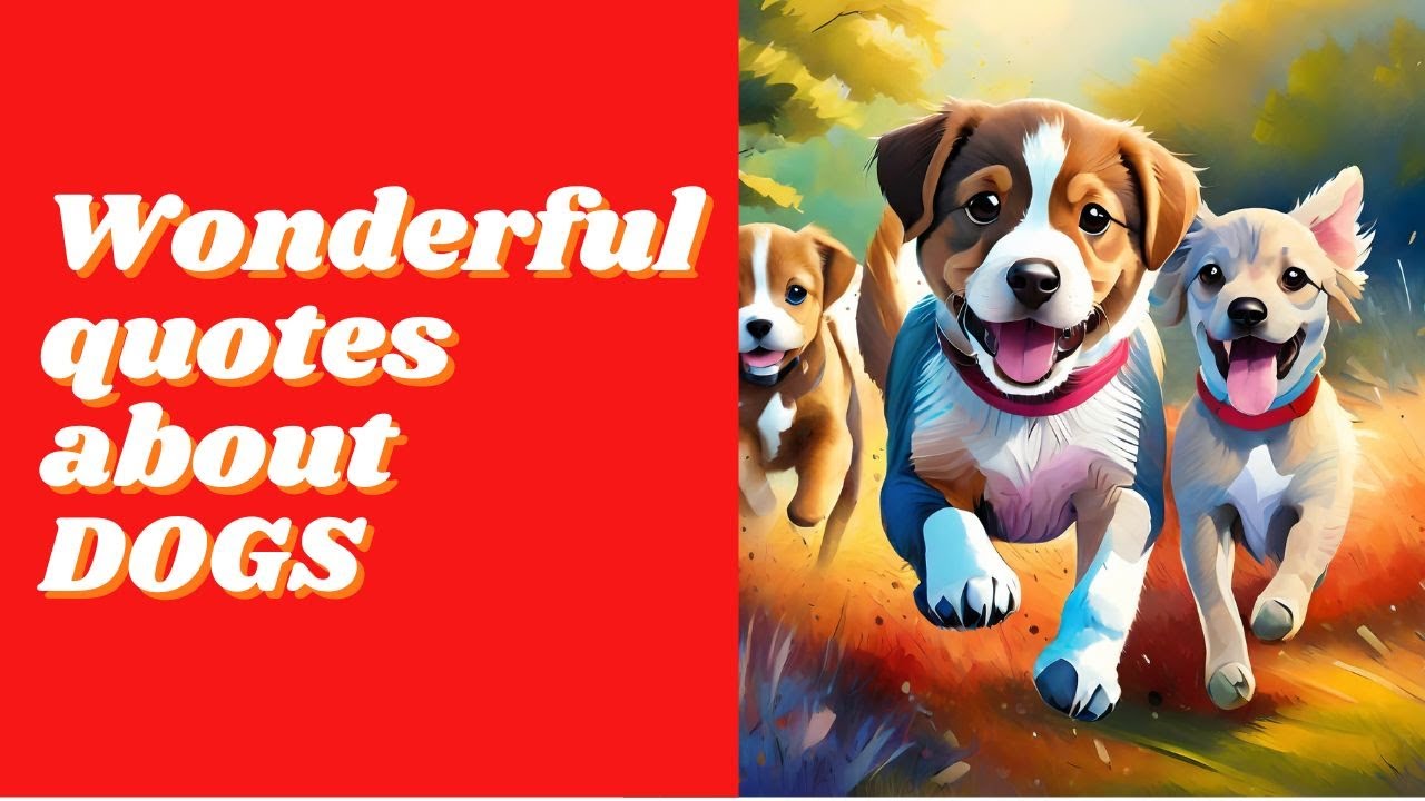 Wonderful Quotes About Dogs
