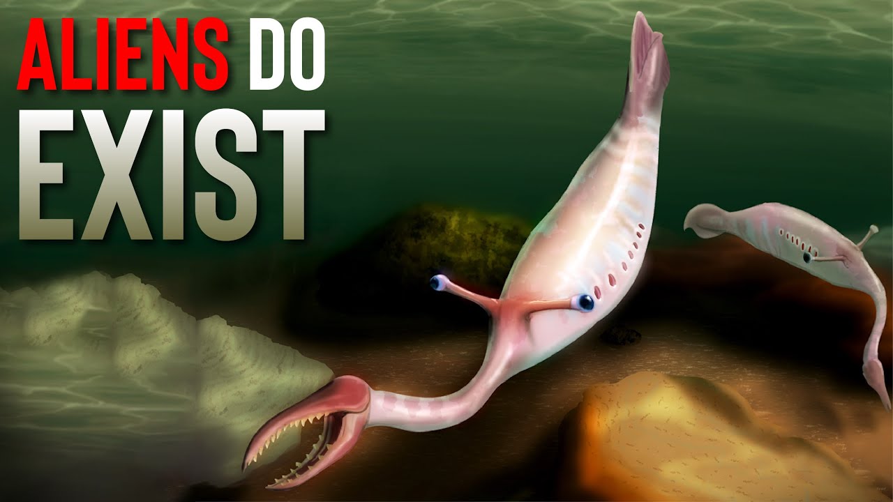 Tullimonstrum: The Prehistoric Monster With a MIND-BENDING Shape