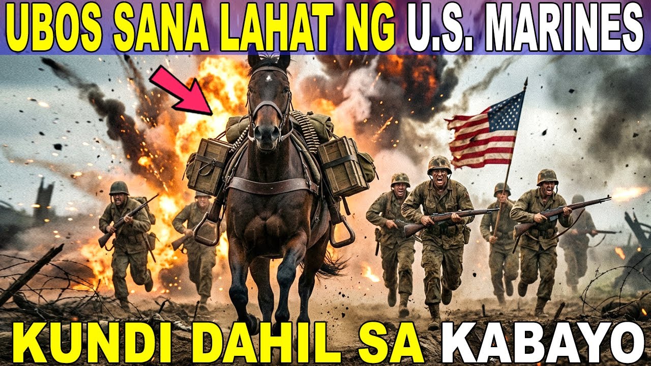 PANO NILIGTAS ng KABAYO ang MGA SUNDALO ng U.S. MARINES noong KOREAN W@R