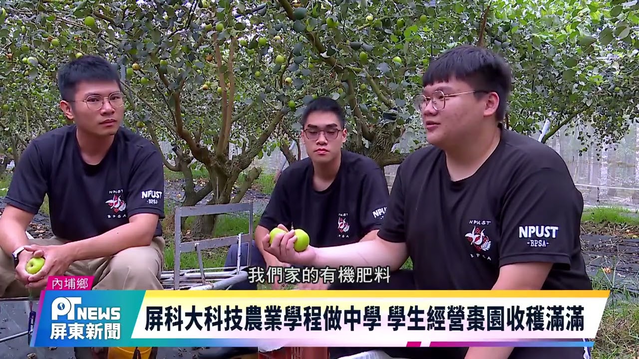 屏科大科技農業學程做中學 學生經營棗園收穫滿滿