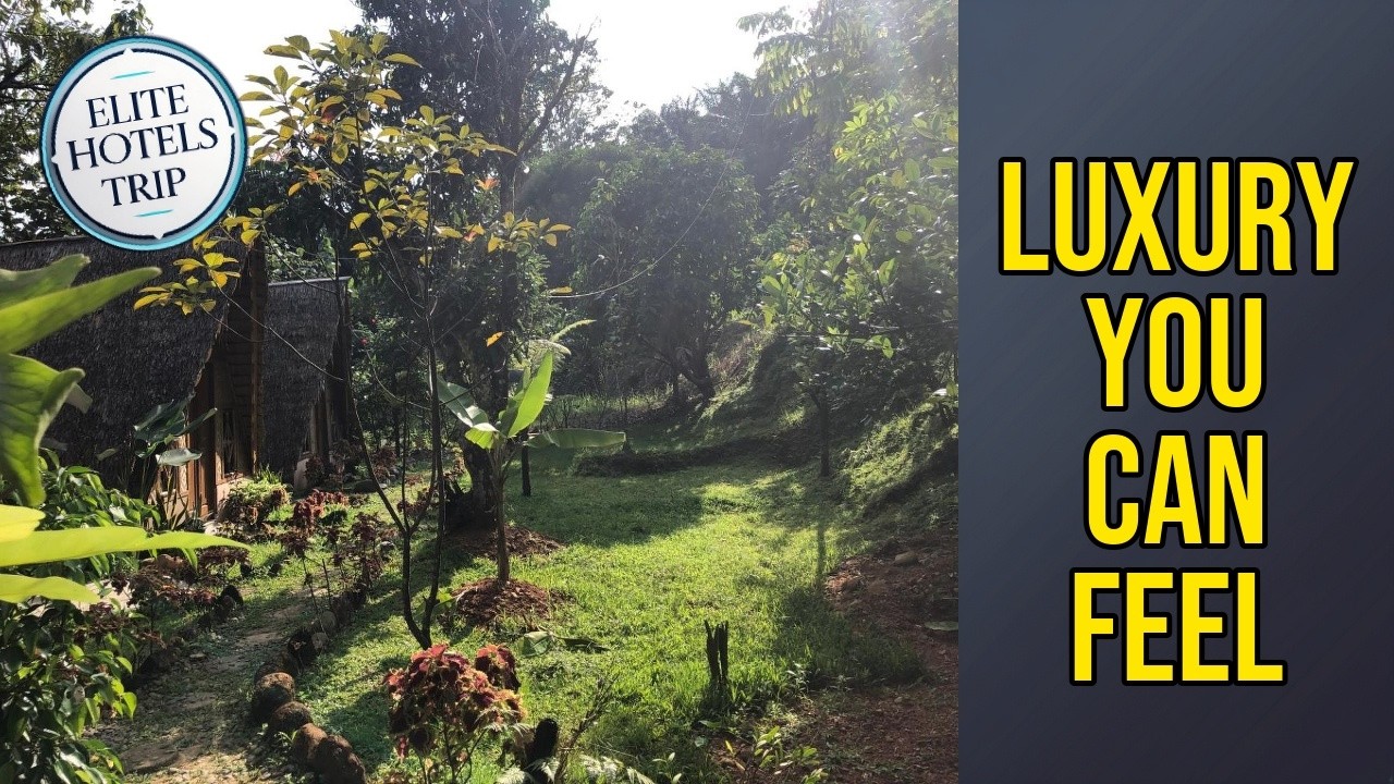 Sumatra Thomas Leaf Monkey Guesthouse & Jungle Trek &mdash; роскошь, которую чувствуешь | Букит-Лаванг,...