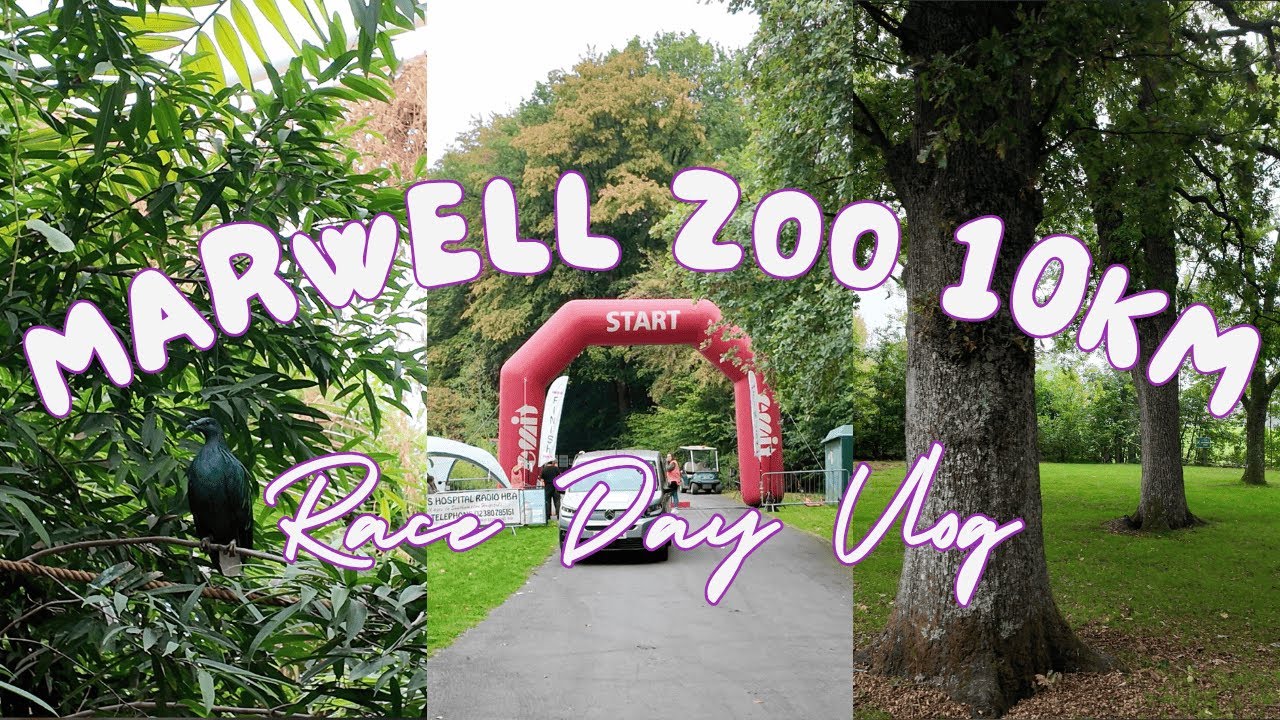 Marwell Zoo 10k | Race Day Vlog | challenging 10km race and a visit to the zoo