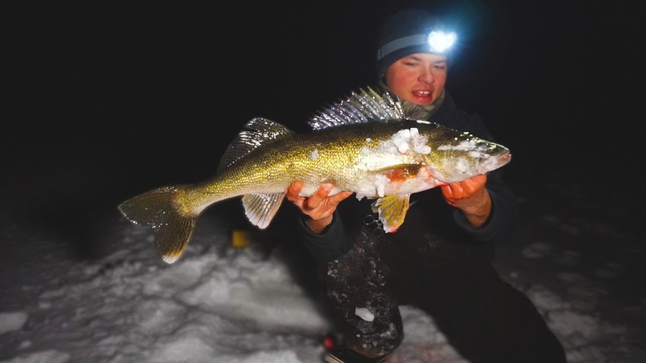 How To Catch The BIGGEST Walleye In Your Lake! (NEW PB!)