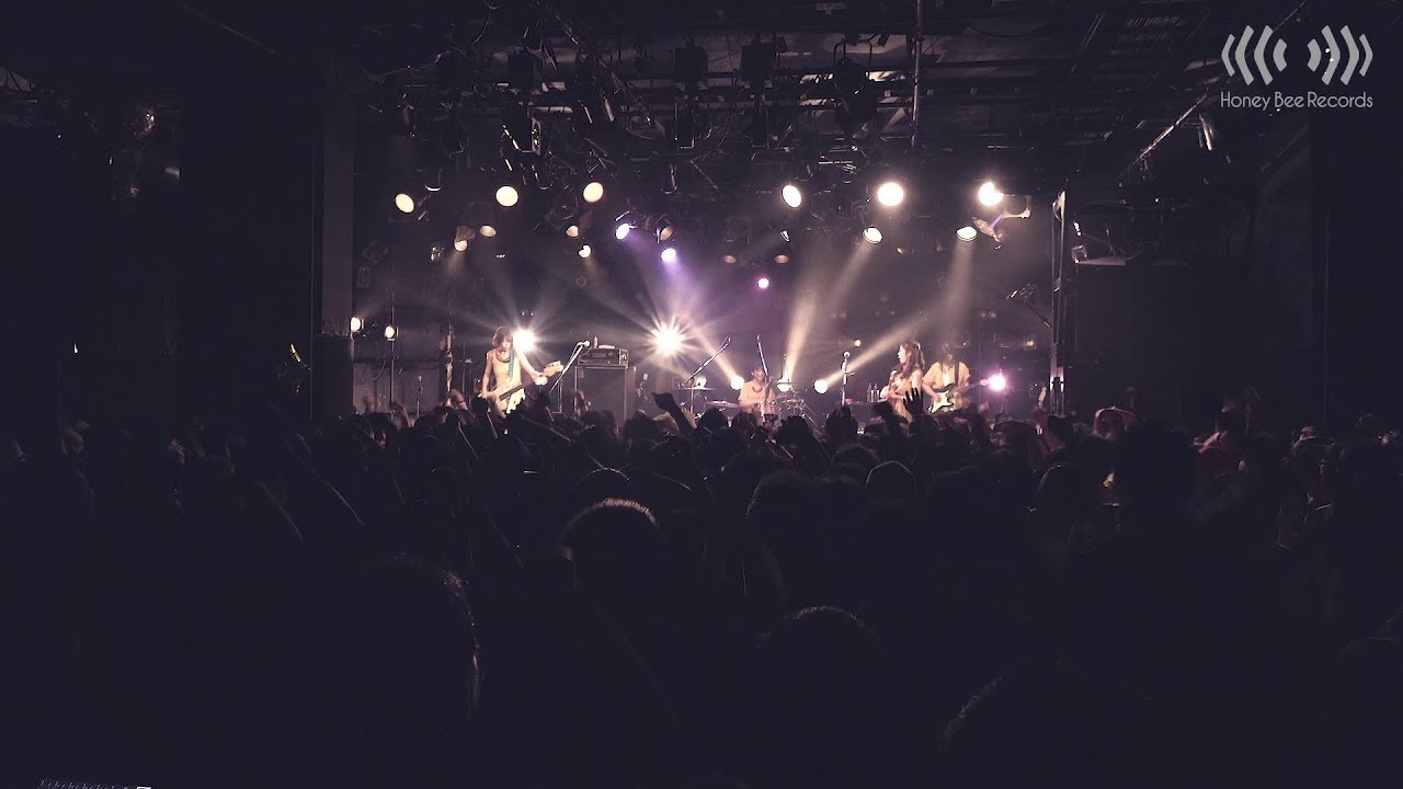 Chelsy LIVE DVD「Chelsy LIVE 2017 〜ちぇる子とちぇる男のカーニバル始めちゃうんだツアー〜」  一部公開