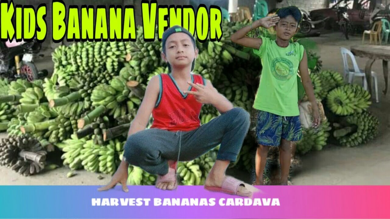 Part2 Harvesting Bananas Cardava. 2Kids  Shows how to Harvest Bananas cardava in Fram.|KASIPAG VLOGS