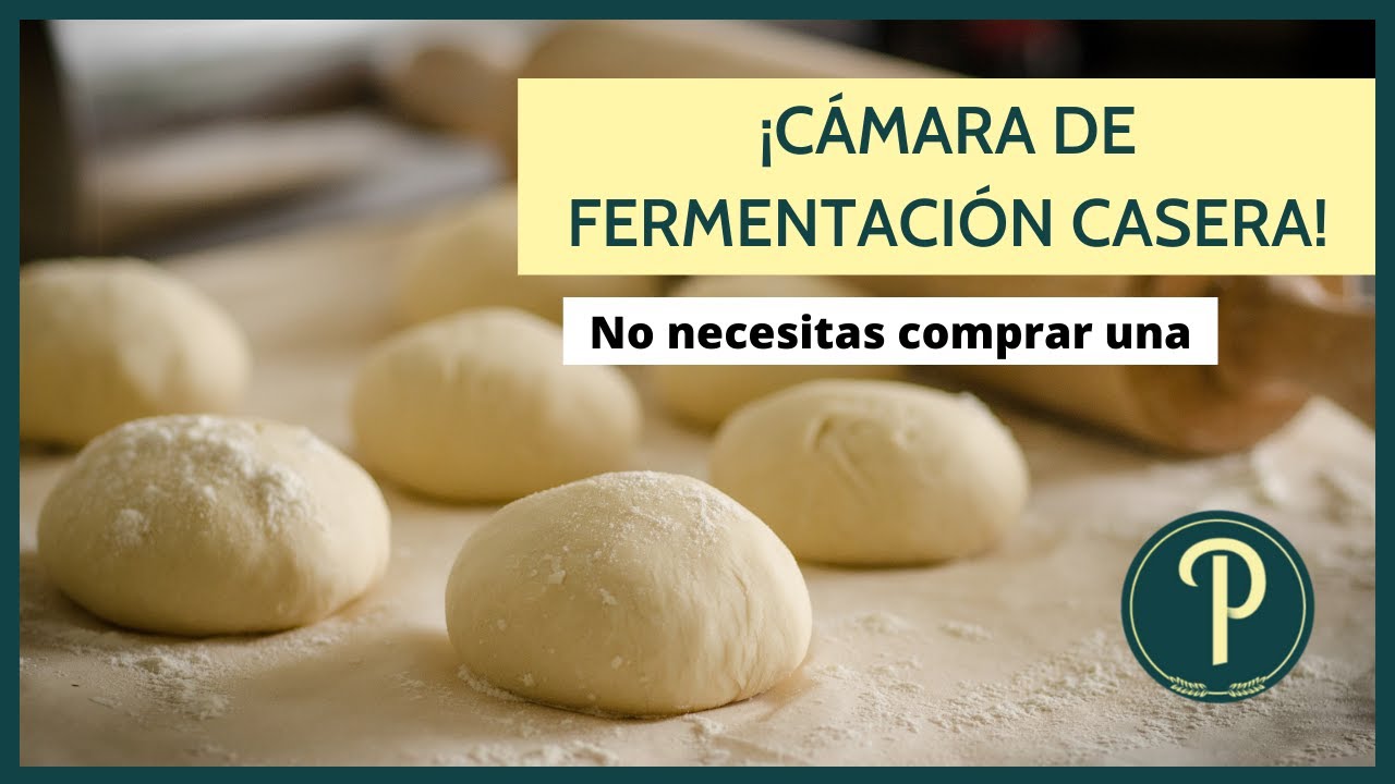 ¿Cómo fermentar tus panes en casa? Cuarto de crecimiento casero // PanPillón - Taller de Panadería