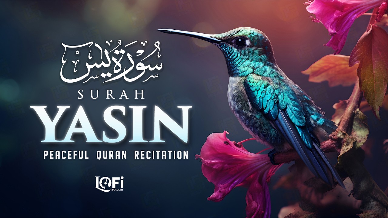 Surah Yaseen (Yasin) سورة يس | Emotional Healing with Relaxing Lofi Quran #surahyaseen