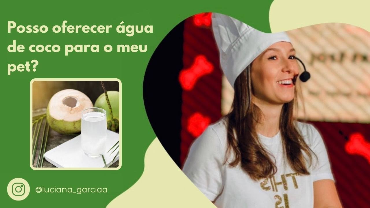 Meu cachorro pode beber &aacute;gua de coco?