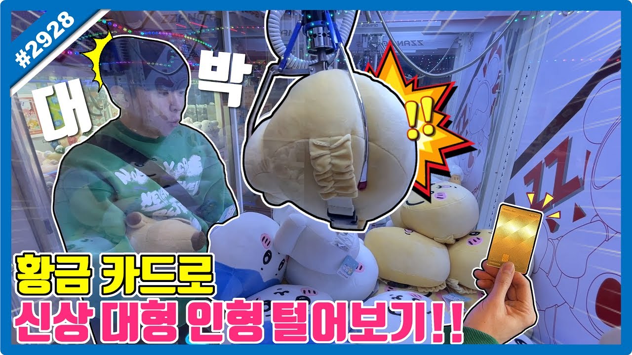 황금 카드(?)로 신상 대형 인형들 털어보기!! 소장 욕구 자극하는 대형 멧돼지랑 먼작귀 뽑았습니다ㅋㅋ (고니두욘몬 20250408) #2928