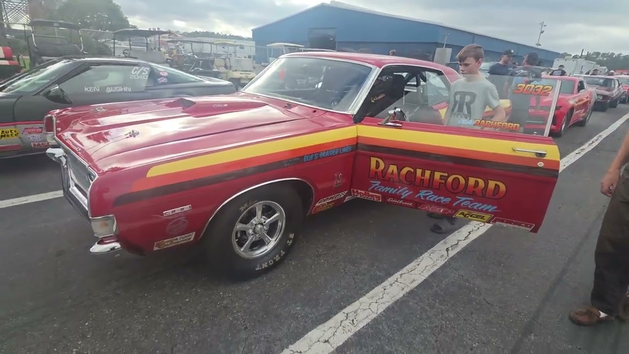 Детеныши аллигаторов... 69 Cobra Torino