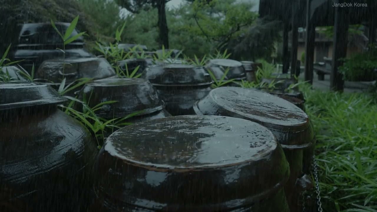 The Most Peaceful Jangdokdae Rain Sounds | A Lullaby of Gentle Raindrops for Deep Sleep