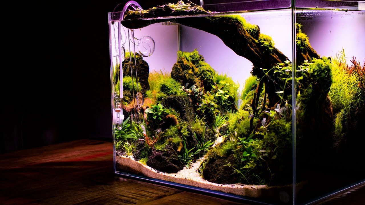 HOW TO: Make an Aquascape -Nano Aquascape Tutorial - Step by Step GUIDE Building a CONTEST Aquascape
