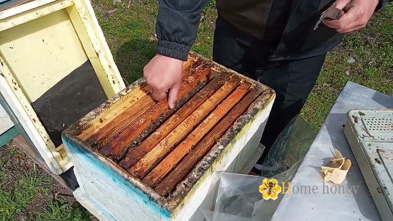 Відкриття сезону 2025 року.....