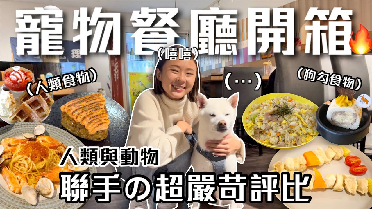 台北3間「寵物友善餐廳」開箱！人類與動物聯手の超嚴苛評比🔥打破又貴又難吃的印象？｜桑潔魚