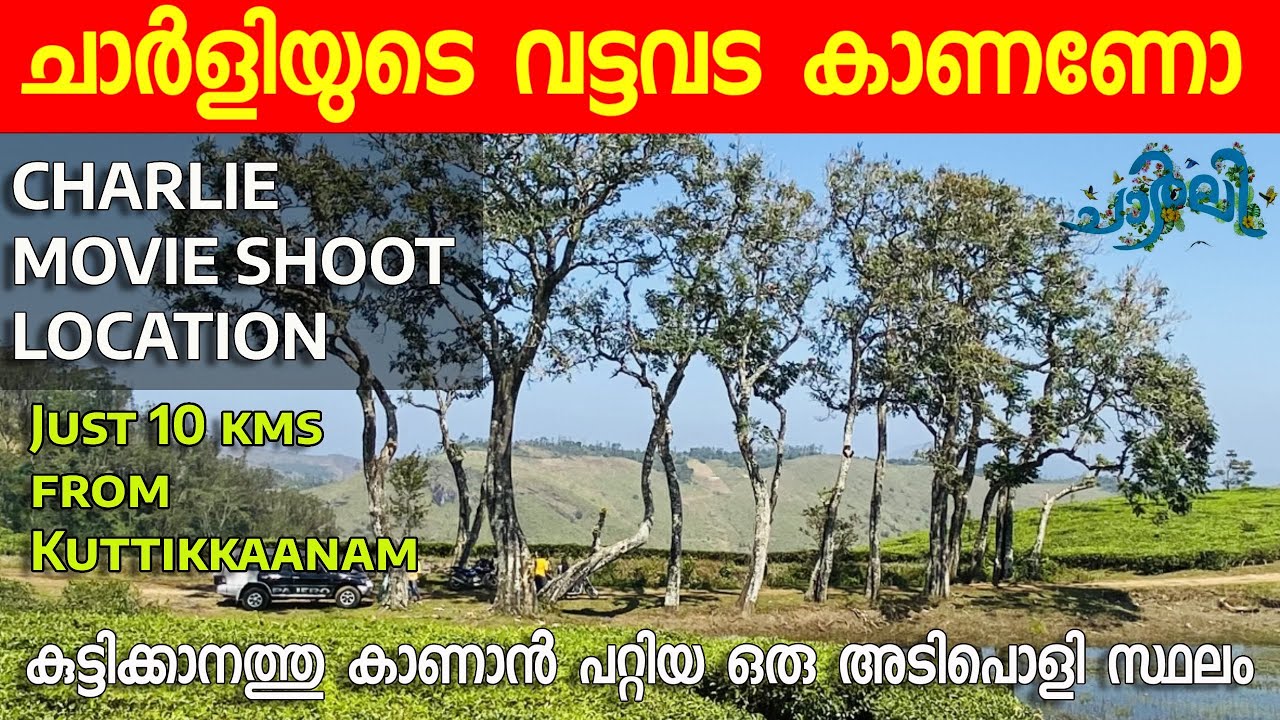 Kuttikkanam ചാർലി ഷൂട്ടിംഗ് ലൊക്കേഷൻ | Charlie Movie Shoot location in Kuttikkanam | Idukki