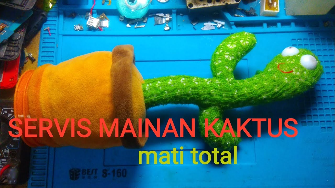 servis mainan kaktus mati total#shortsvideo #youtubeshorts #youtubeshort @multielektro9121
