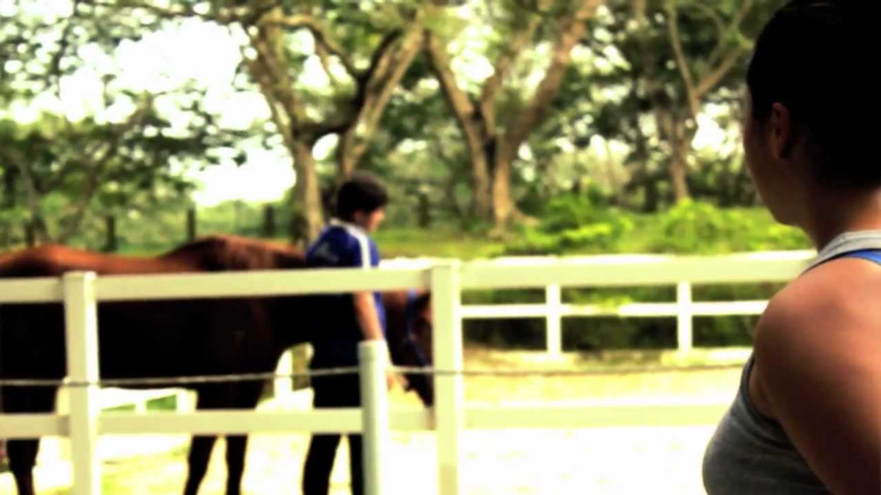 Someone Like You - Adele  (SolidSweetMeat Cover)