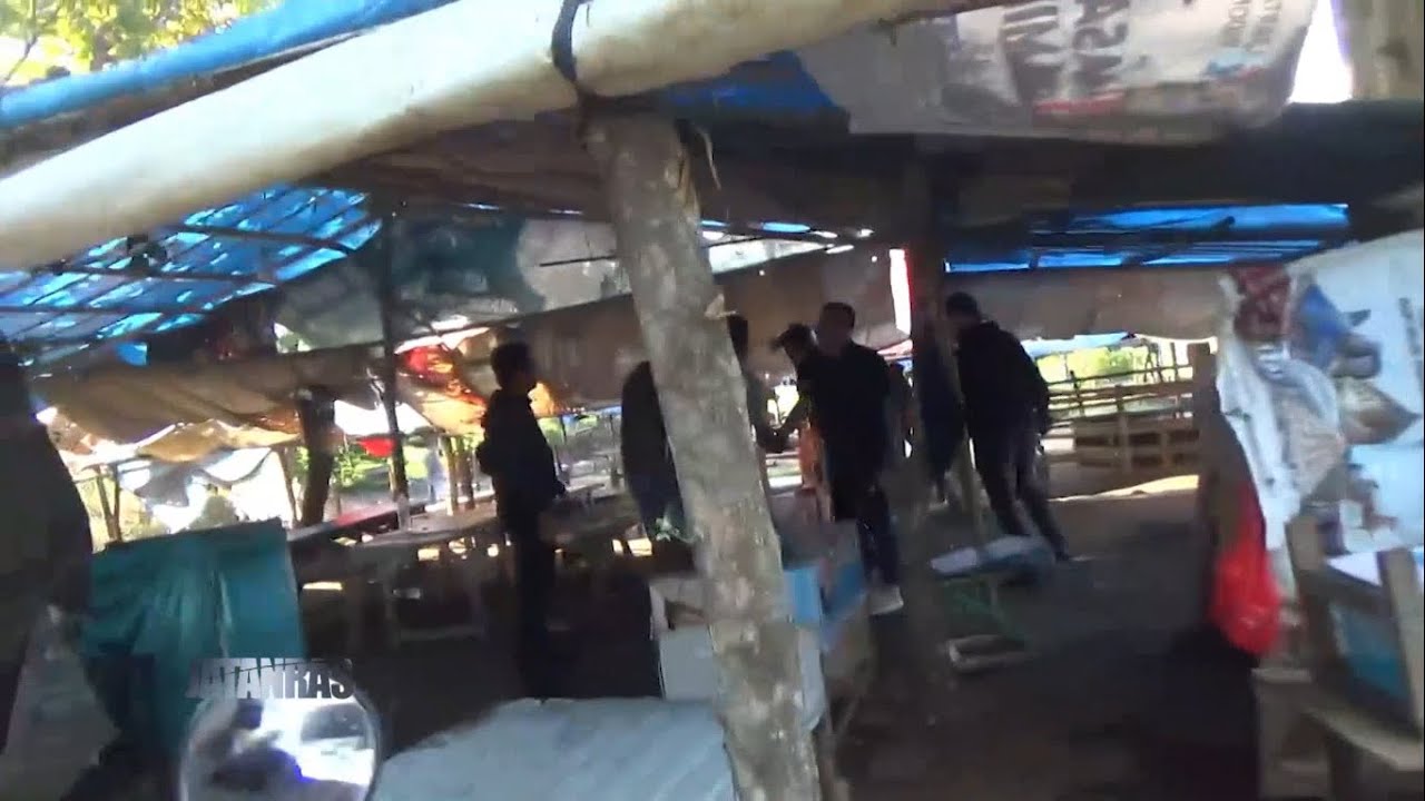 Polisi Gerebek Arena Judi Sabung Ayam Di Makassar, Sulawesi Selatan - JATANRAS