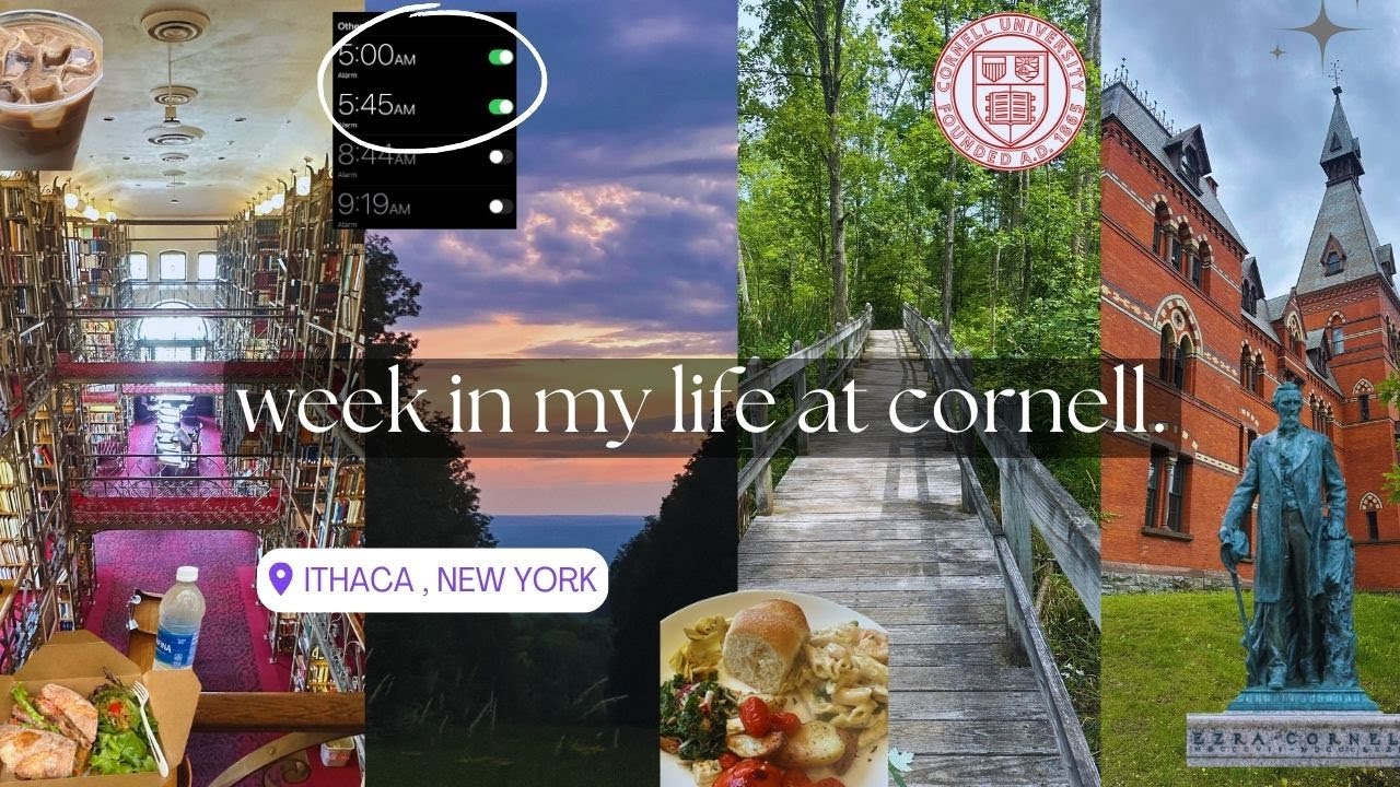my week at Cornell 🫶🏾 | zip lining 🥾, computer science💻, campus tour, libraries 🐢,  sunsets, eating🌯