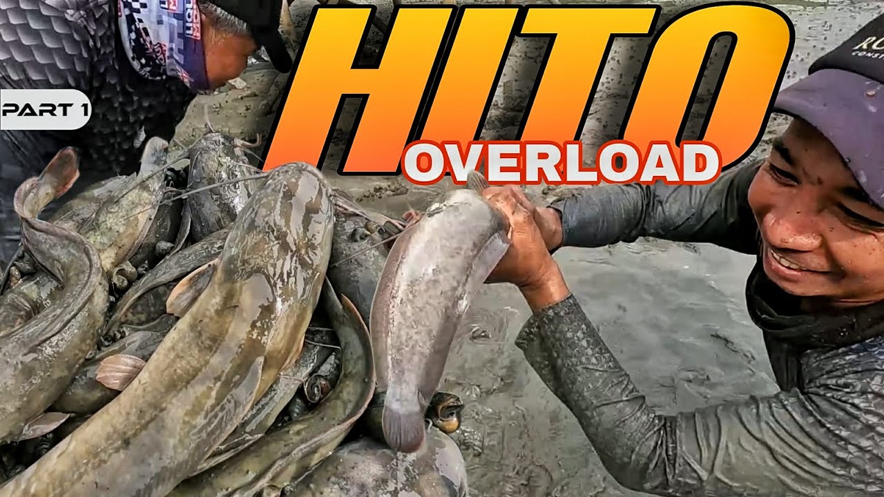 P1 - HITO OVERLOAD - EP2123