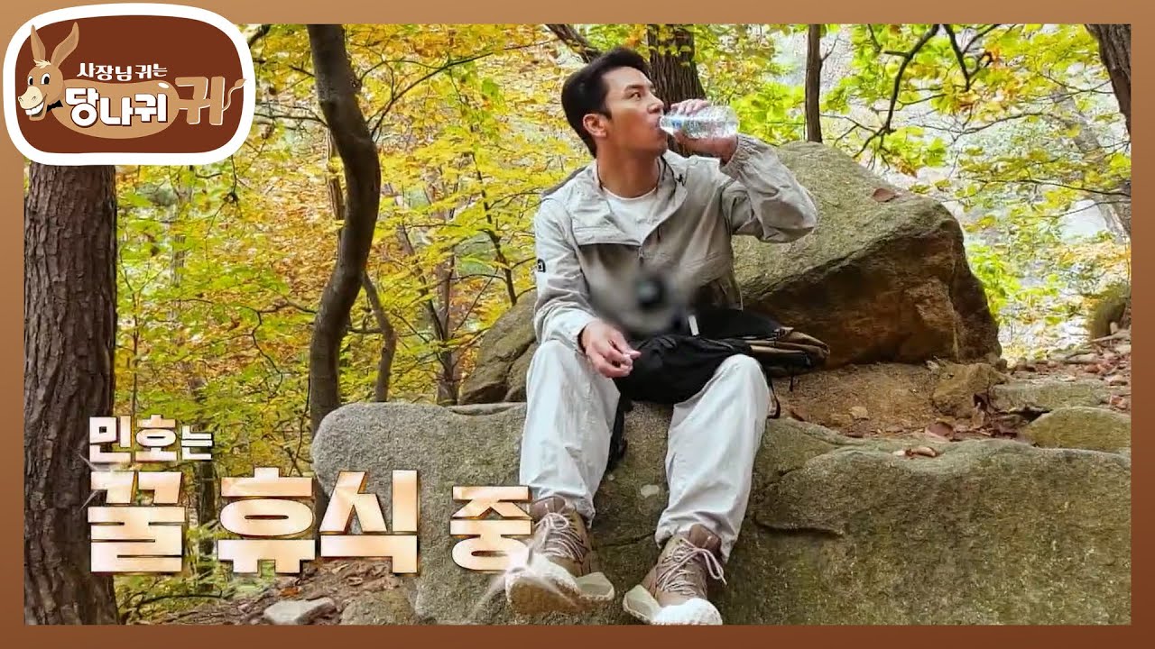 장민호 보스 콘서트 일주일 앞두고✨️ 느닷없는 북한산 체력 훈련🤣 [사장님 귀는 당나귀 귀/Boss in the Mirror] | KBS 231126 방송