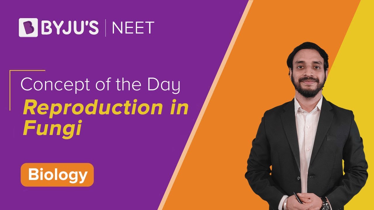 Reproduction in Fungi | BIOLOGY | NEET | Pushpendu Sir | Concept of the Day