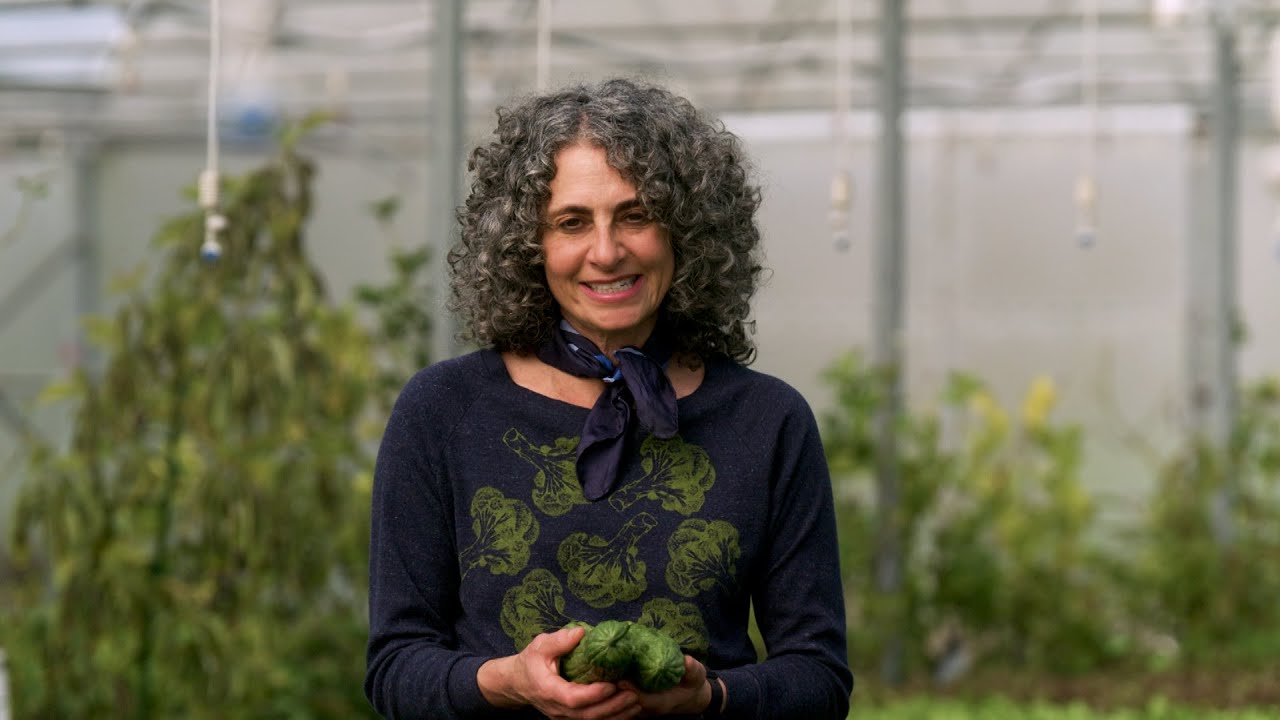 Heath Benefits of Bitter Melon and Other Cultural Foods - Harvesting Health - America's Heartland