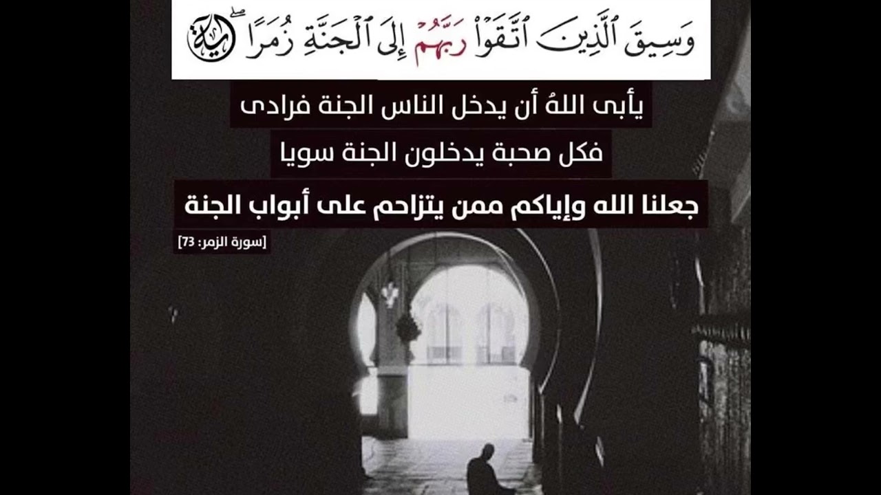 #القرآن_الكريم #المصحف #قران_كريم #الله #اكسبلور #ﷺ#قرآن#تلاوة_خاشعة #تلاوات #تلاوة #تيك_توك #لايك 