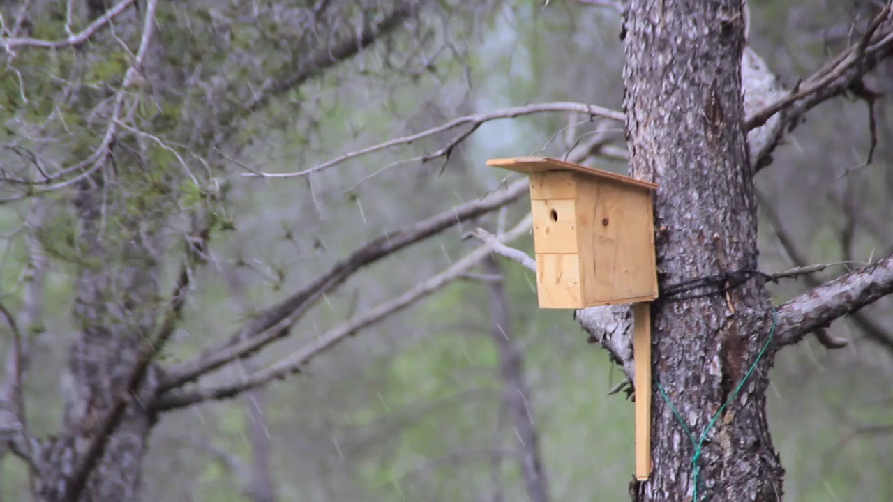 Meditation - A Mindful Home