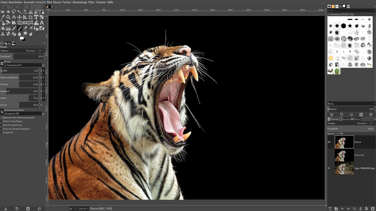 Gimp 2.10.8: Freistellen mit Vordergrundauswahl – unruhiger Hintergrund