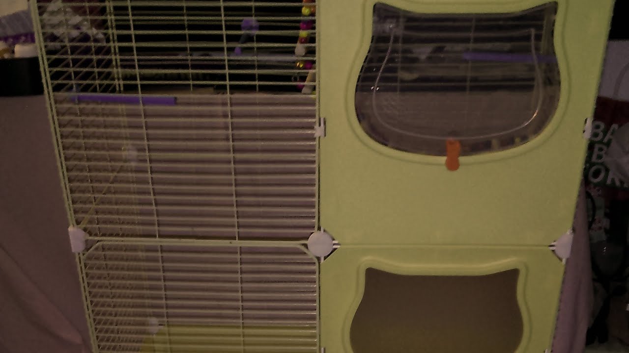 Building My Bird’s Dream Home: Modular Aviary Setup!