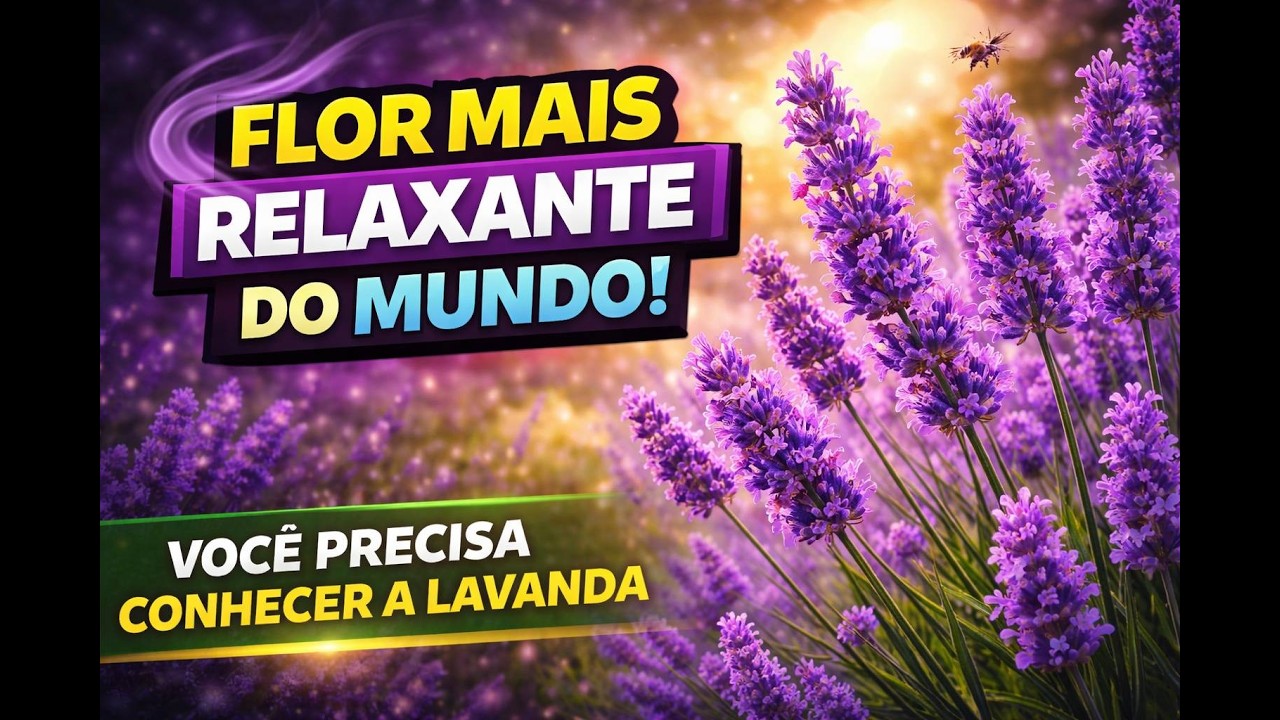 Como Cultivar Lavandas