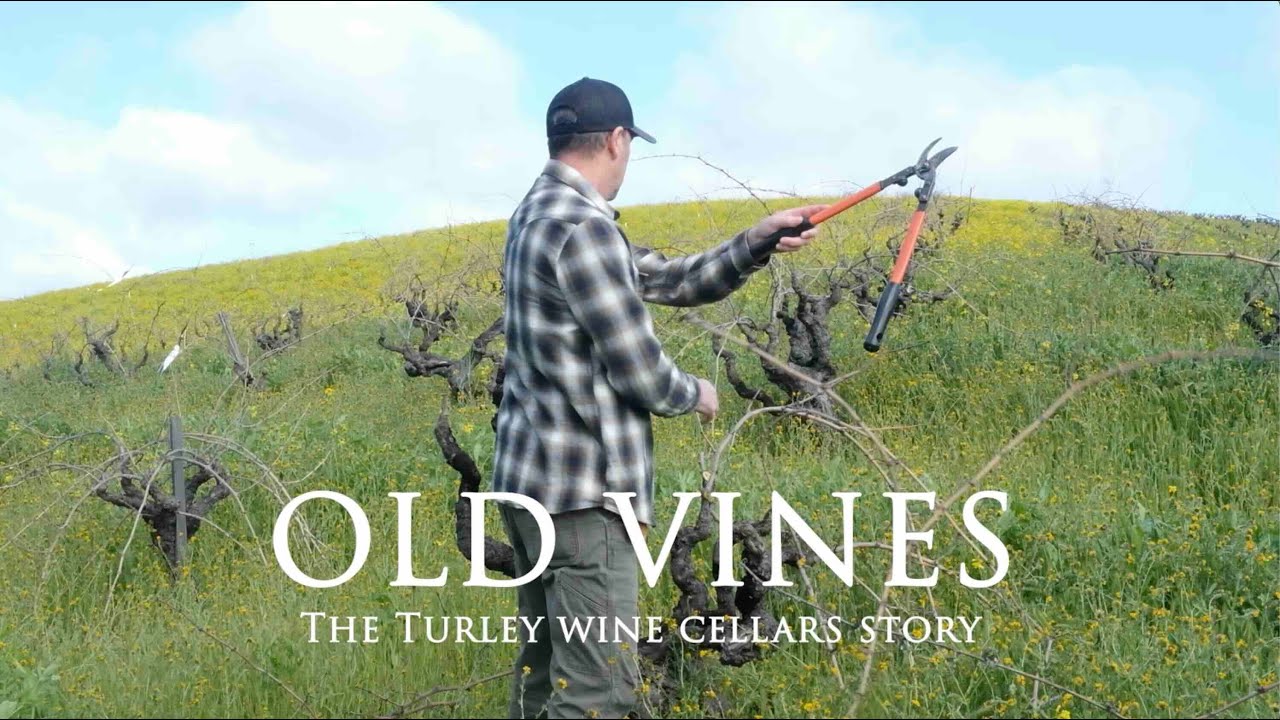 Old Vines - The Turley Wine Cellars Story