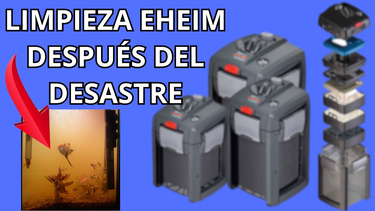 LIMPIEZA EHEIM PROFESIONAL 4 600 DESPUÉS DEL DESASTRE