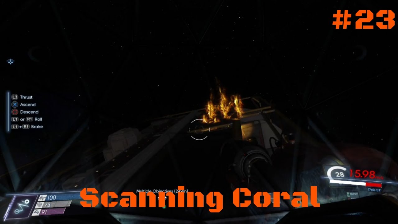 Scanning Coral | Prey #23