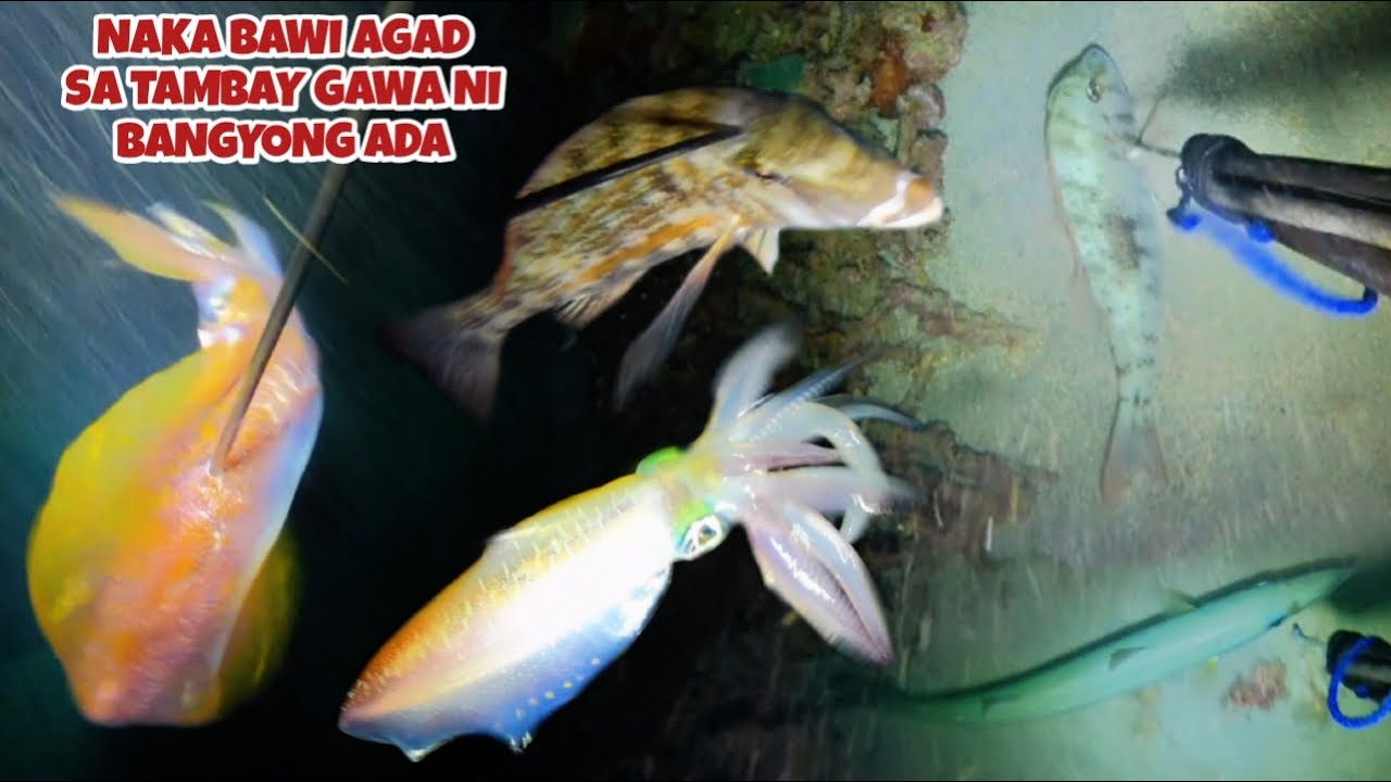 EP 479 NAKA BAWI AGAD SA TAMBAY GAWA NI BAGYONG ADA