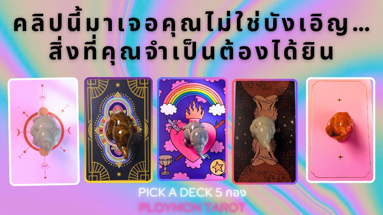 คลิปนี้มาเจอคุณไม่ใช่บังเอิญ&hellip; สิ่งที่คุณจำเป็นต้องได้ยิน✨🦄😚l Pick a Deck 