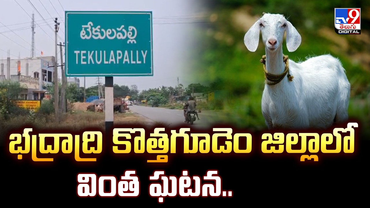 భద్రాద్రి కొత్తగూడెం జిల్లాలో వింత ఘటన.. | Bhadradri Kothagudem - TV9