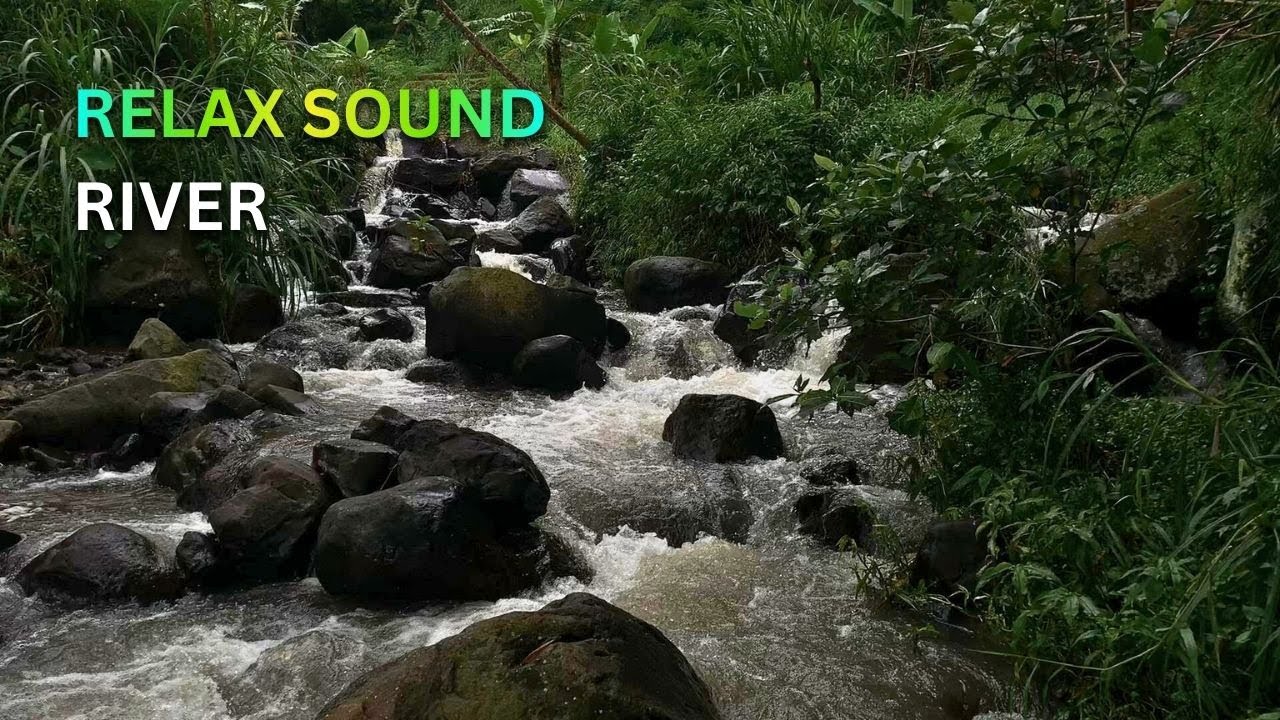 Calm River Flow Sound 🌊 Natural Water Ambience for Sleep, Study, Meditation