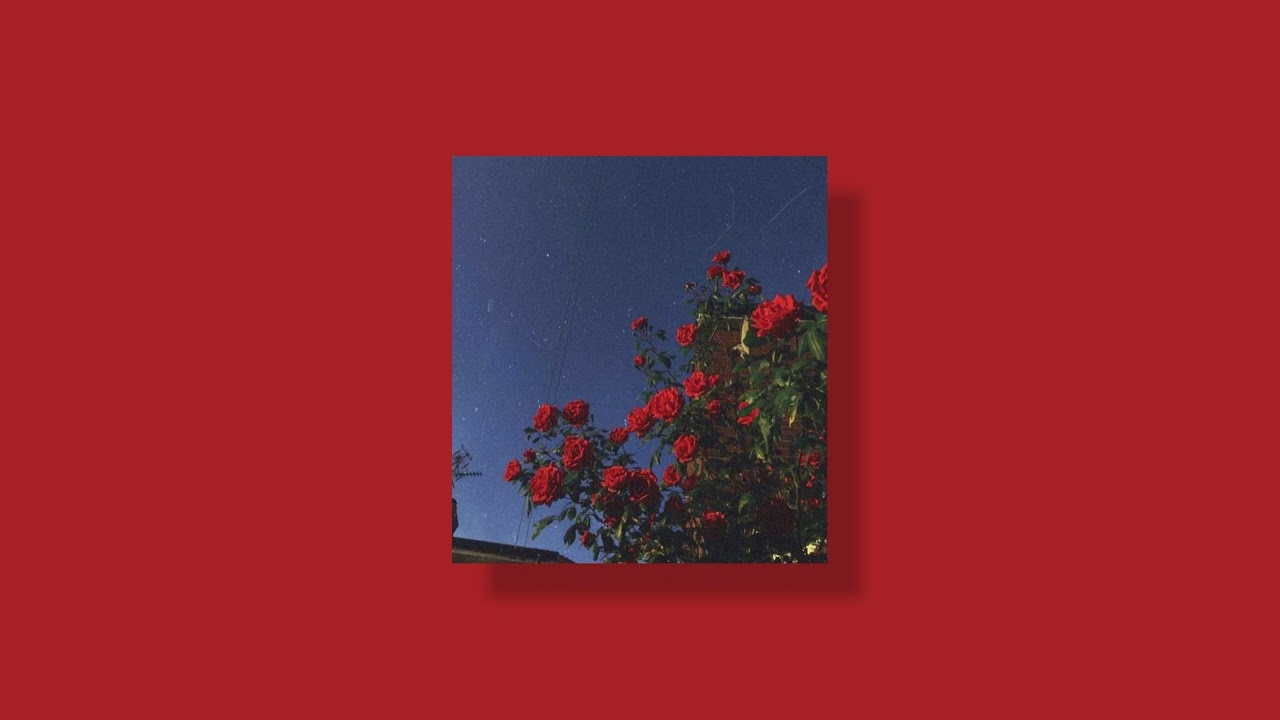 🎧 Electric Love  - Børns •  Sped Up 🎧