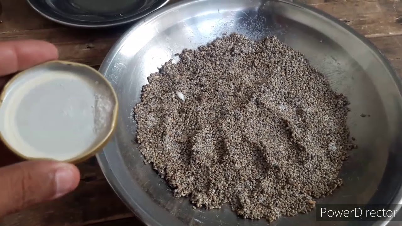 Garmi ka khel Pani