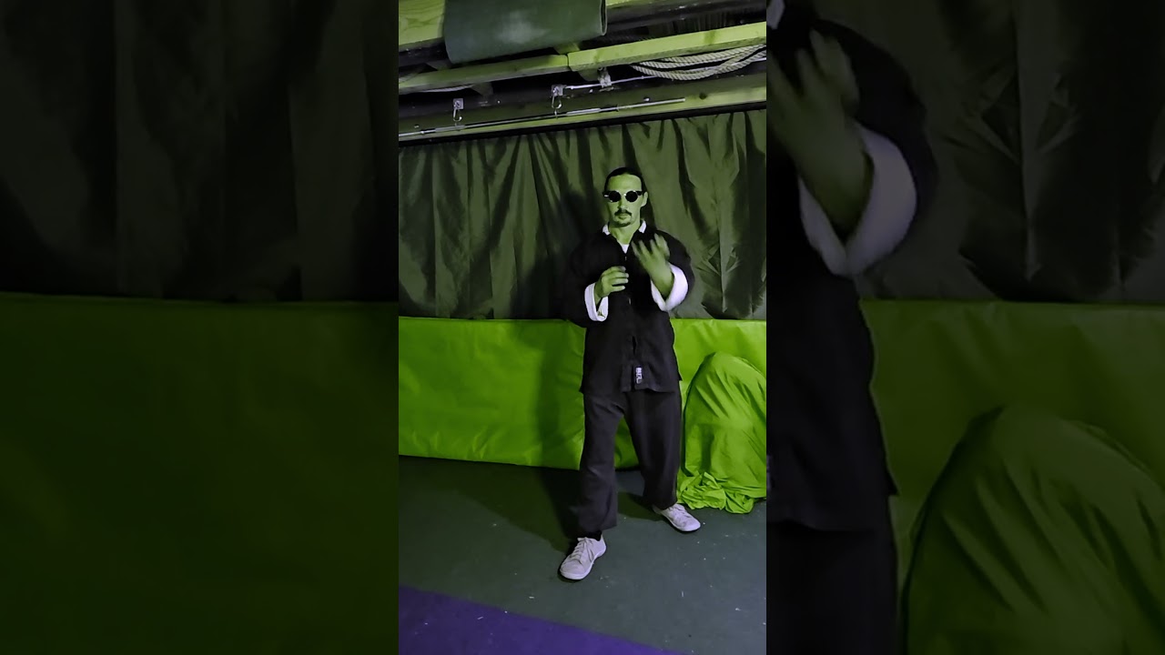 FIGHTMOVE 41 #prayingmantiskungfu #kungfu #kungfuskills  #kungfutraining #prayingmantis #kungfustyle