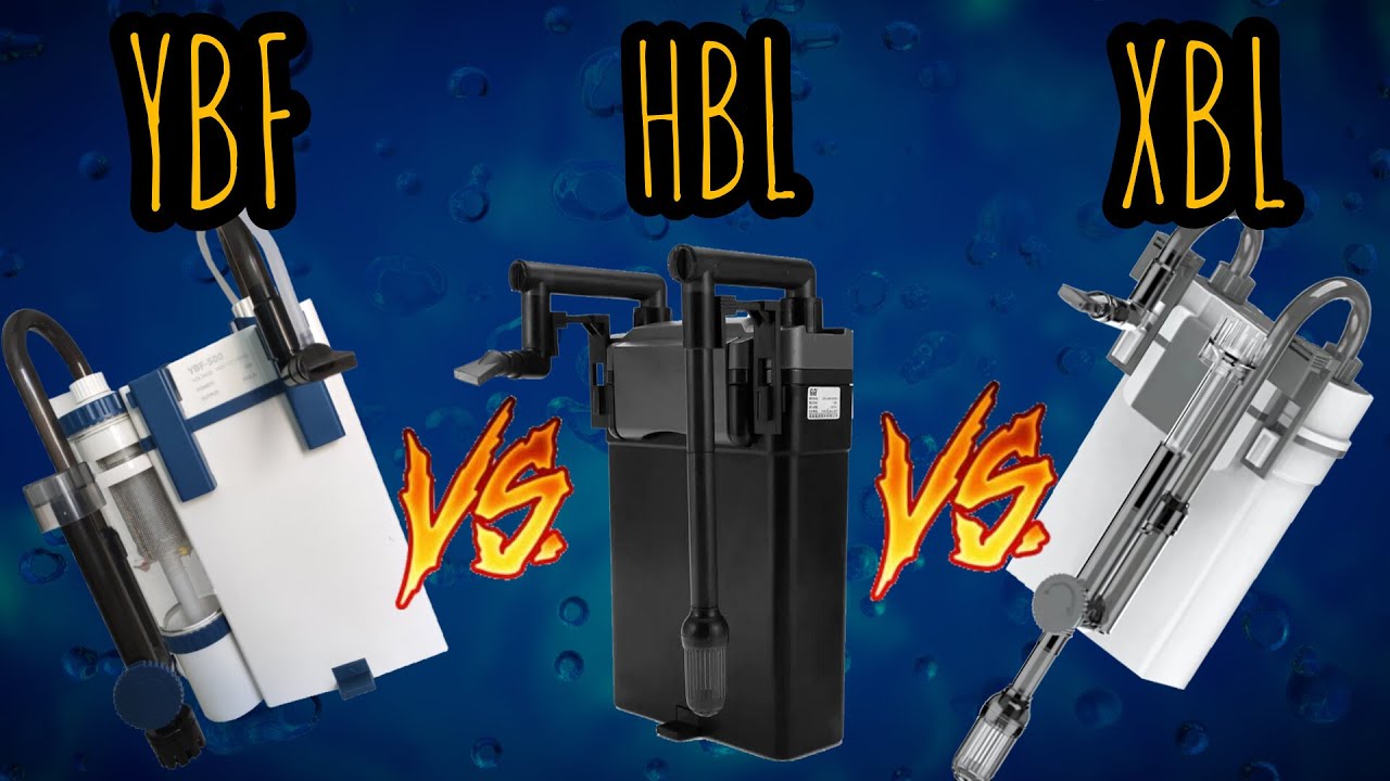 HBL vs XBL vs YBF - Qual melhor filtro da SUNSUN? - Aqua Gama
