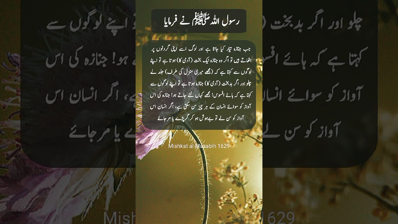 The Secret Every Funeral Procession Holds #hadees #islam #quotes #islamic #shorts #shortsfeed